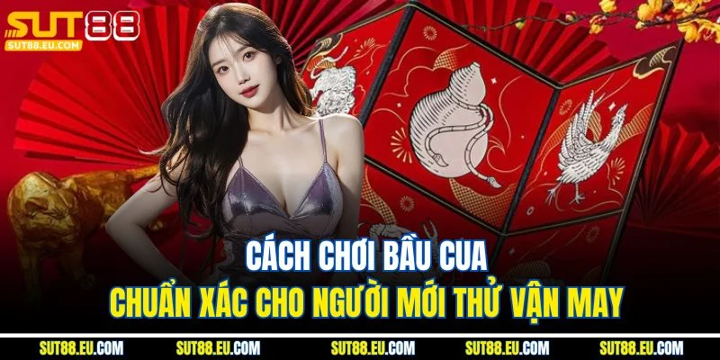 Cách Chơi Bầu Cua Chuẩn Xác Cho Người Mới Thử Vận May