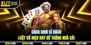 Cách Chơi Xì Dách Luật Và Mẹo Hay Để Thắng Nhà Cái