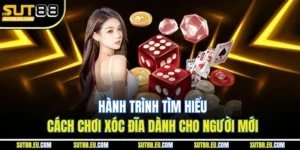 Hành Trình Tìm Hiểu Cách Chơi Xóc Đĩa Dành Cho Người Mới