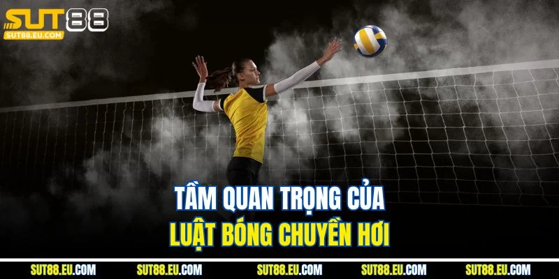 Tầm quan trọng của luật bóng chuyền hơi Tầm quan trọng của luật bóng chuyền hơi
